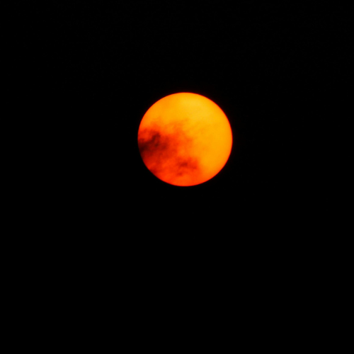 Embrace Your Radiance: Leo New Moon Rituals for Renewal and Manifestation