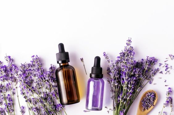 Benefits of Lavender Oil for Health - MysticPavilion