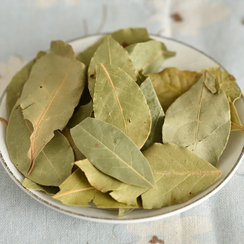 Bay Leaves For Protection & Healing - MysticPavilion