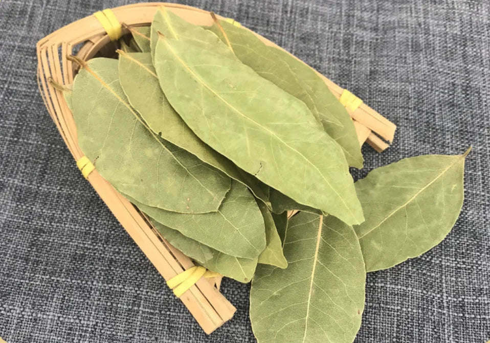 Bay Leaves For Protection & Healing - MysticPavilion