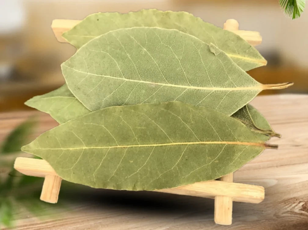 Bay Leaves For Protection & Healing - MysticPavilion