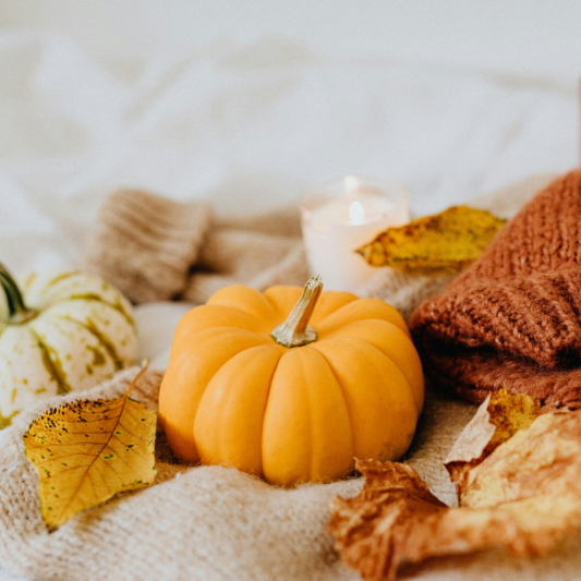 🦃✨ Thanksgiving Energies: What the Universe Wants You to Release, Receive & Remember This Season