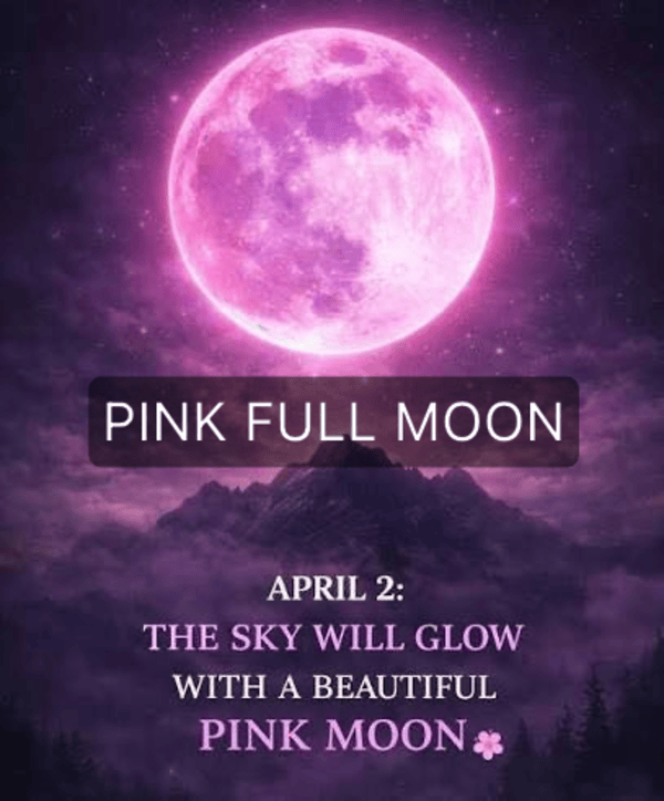 🌕 The Pink Full Moon Awakening: What This Blooming Moon Means for Your Zodiac Sign 🌸