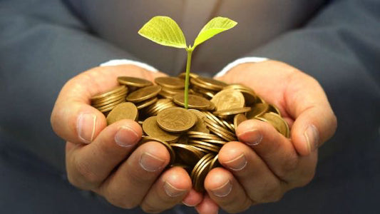 Unlock the Secrets to Attracting Wealth: Mindset, Action, and Abundance